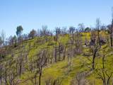 15676 Corral Hollow Rd - Photo 24