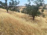 9104 Capullo - Photo 1