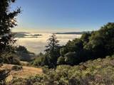 00 Mountain King Rd - Photo 2