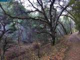 Lark Ln - Photo 2
