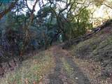 Lark Ln - Photo 3