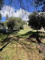 00000 Creekside Drive - Photo 4