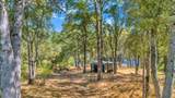 14781 Lakeside Dr - Photo 7