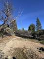 28560 Italian Bar Rd - Photo 4