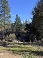 28560 Italian Bar Rd - Photo 5