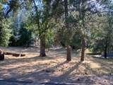 20782 Buttercup Circle - Photo 2