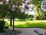 20782 Buttercup Circle - Photo 13