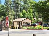 20782 Buttercup Circle - Photo 15
