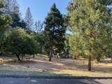 20782 Buttercup Circle - Photo 3