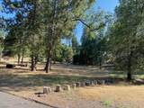 20782 Buttercup Circle - Photo 7