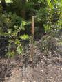 33994 Leland Meadow Rd - Photo 3