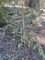 33994 Leland Meadow Rd - Photo 7