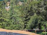 13 St. James  Ct - Photo 14
