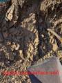 13 St. James  Ct - Photo 20