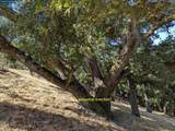 13 St. James  Ct - Photo 30