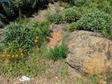 0 Gravatt Dr - Photo 6