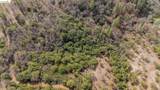 25555 Forest Rte 3N11 - Photo 6