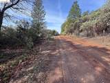 25555 Forest Rte 3N11 - Photo 8