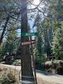 25352 Rebekah Road - Photo 12