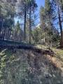 25352 Rebekah Road - Photo 13