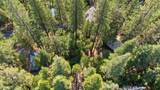 25352 Rebekah Road - Photo 7