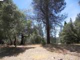 Point View Dr. - Photo 4