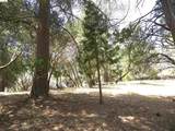 Point View Dr. - Photo 6