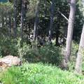 0 Skyline Blvd. - Photo 16