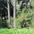 0 Skyline Blvd. - Photo 17