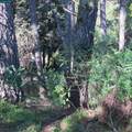 0 Skyline Blvd. - Photo 18