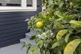 1538 20th Ave - Photo 41
