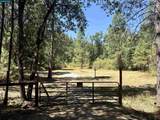 4578 Pretty Good Rd - Photo 2