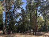 4578 Pretty Good Rd - Photo 16
