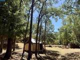 4578 Pretty Good Rd - Photo 21