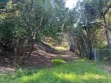 6 Brookwood - Photo 3