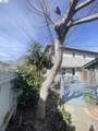 318 Cypress St D - Photo 16