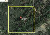 19751 Incense Cedar Trail - Photo 6