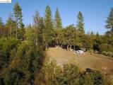 19751 Incense Cedar Trail - Photo 7