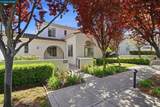 3217 Amaryllis Cir - Photo 41