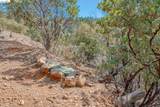 5776 Prospector Ln - Photo 13