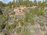 5776 Prospector Ln - Photo 22