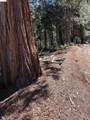000 Lot 498 Oxbow Lane - Photo 6