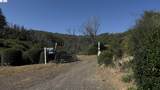 11311 Pine Flat - Photo 42