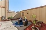 1149 Bismarck Ln - Photo 37