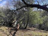 16505 Creekside Dr - Photo 4