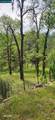 Pigeon Ridge Road - Photo 5