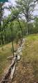 Pigeon Ridge Road - Photo 7