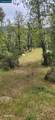 Pigeon Ridge Road - Photo 8