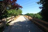 1509 Ashwood Dr - Photo 47