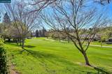 537 Rolling Hills Lane - Photo 24